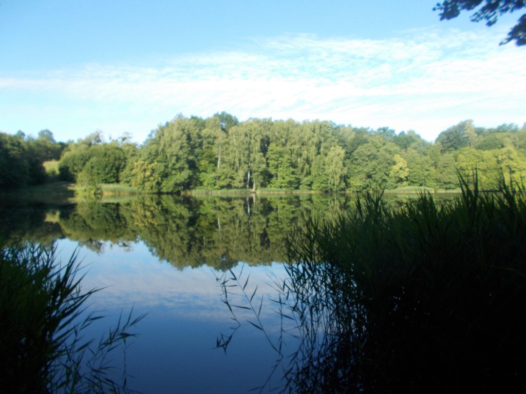 DSCN3662-1024x768.jpg
